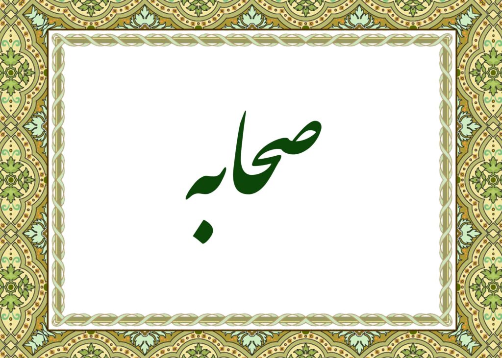 صحابه - آیت الله میلانی
