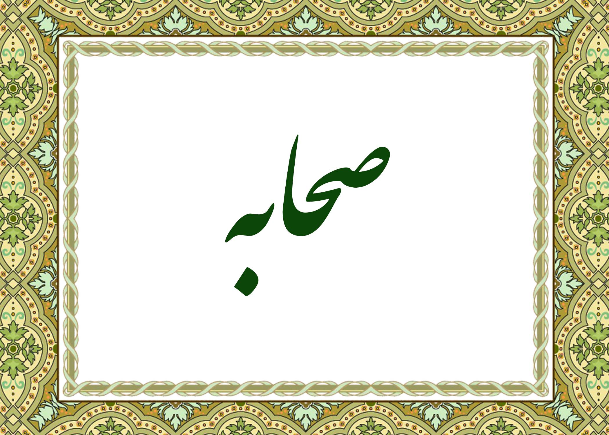 صحابه - آیت الله میلانی