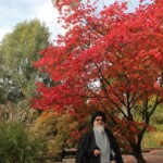 آیت الله میلانی در سفر به هامبورگ آلمان ـ آبان 1393 آیت الله میلانی در سفر به هامبورگ آلمان ـ آبان 1393