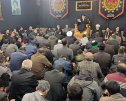 آیت الله میلانی - فاطمیه