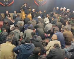 آیت الله میلانی - فاطمیه