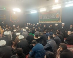 آیت الله میلانی - فاطمیه