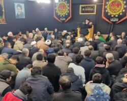 آیت الله میلانی - فاطمیه