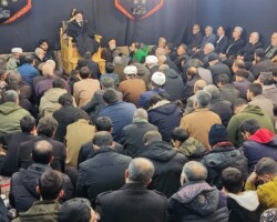 آیت الله میلانی - فاطمیه