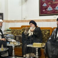 گزارش تصویری دیدارهای آیت الله میلانی با برخی از مراجع معظم و حضرات آیات و حجج اسلام در نجف اشرف