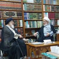 گزارش تصویری دیدارهای آیت الله میلانی با برخی از مراجع معظم و حضرات آیات و حجج اسلام در نجف اشرف