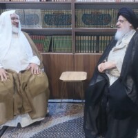 گزارش تصویری دیدارهای آیت الله میلانی با برخی از مراجع معظم و حضرات آیات و حجج اسلام در نجف اشرف